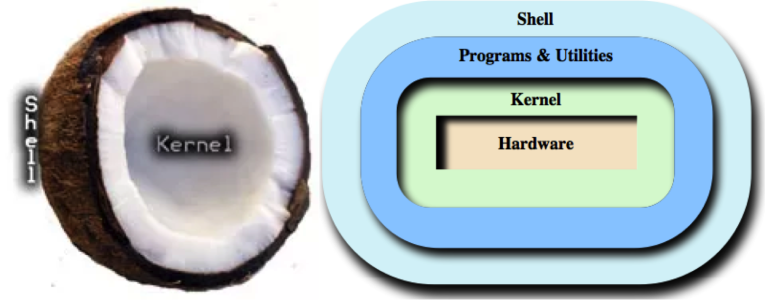 The shell kernel metaphor